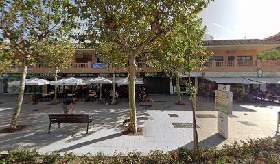 Pilar Alemán Málaga